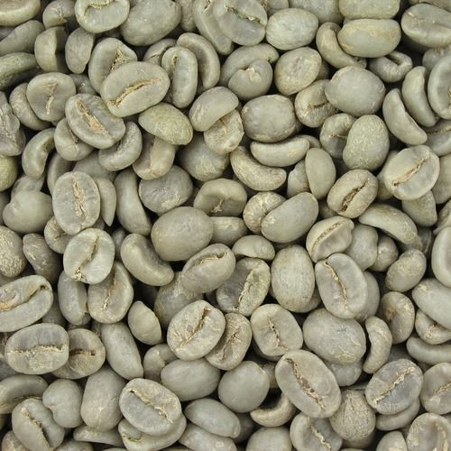 Common Green Robusta Coffee Beans