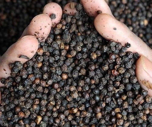Hygienically Packed Black Pepper
