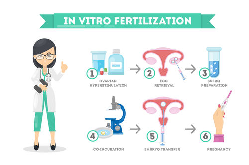 Ivf Treatment Services