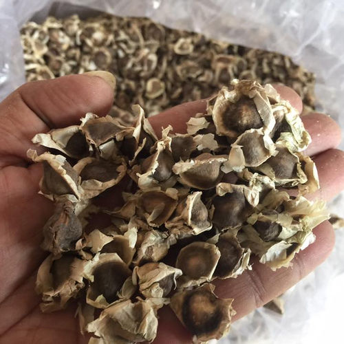 Natural Herbal Moringa Seed