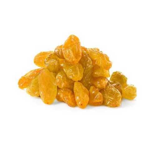 Common Golden Yellow Dried Raisin