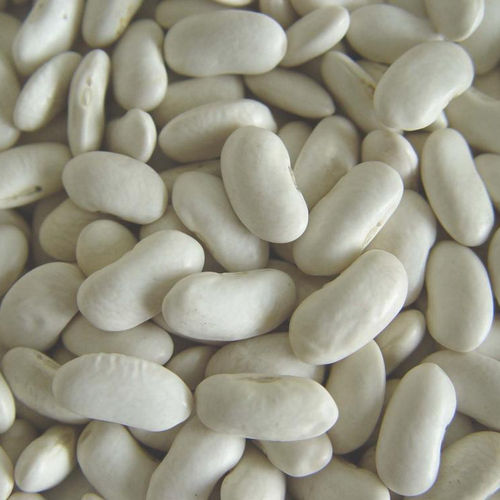  पौष्टिक सफेद किडनी बीन्स 