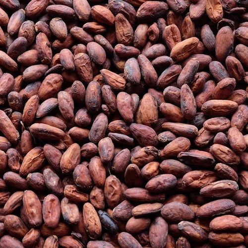 Quality Dried Grade A Cocoa Beans