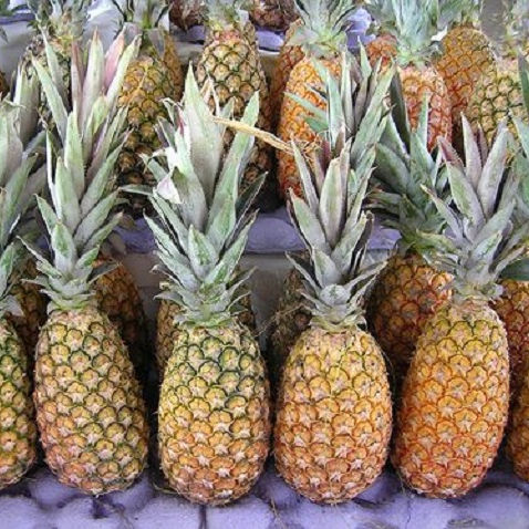 Tasty Sweet Fresh Pineapples