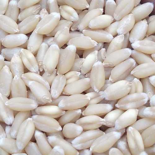 Milling Wheat 