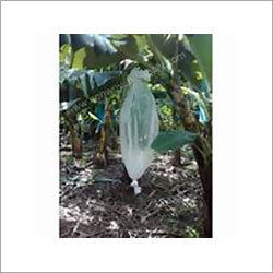 Banana Cover Non Woven Fabric