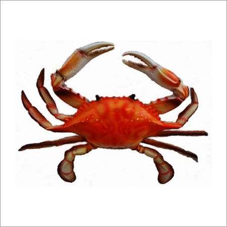 Frozen Crabs - Premium Quality Seafood, Cleaned Under Hygienic Conditions, Delicious Taste, Safe for Consumption, Longer Shelf Life