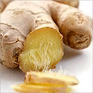 Yellow Ginger