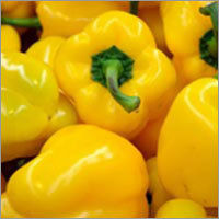 Bell Pepper