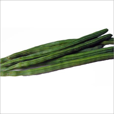 Fresh Drumstick Vegetable