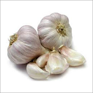 Garlic Bulbs