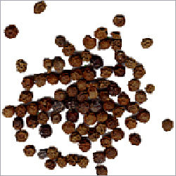 Indian Pepper