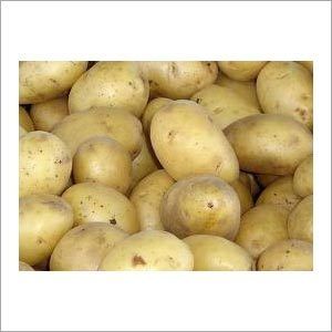 Indian Potato