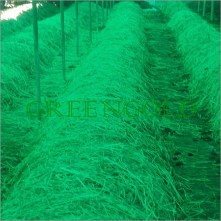 Paddy Straw Vermiculture Beds Covered