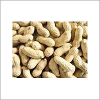 Eco-Friendly Raw Peanuts