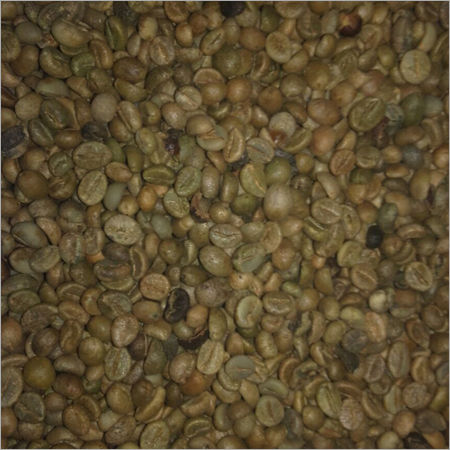 Robusta Coffee Bean