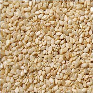 White Sesame Seeds