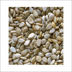 White Sesame Seeds - Premium Quality, Naturally Fertilized and Expertly Processed for Clean and Healthy Use