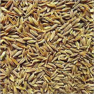 Cumin Seed