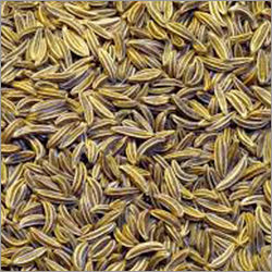 Cumin Seed