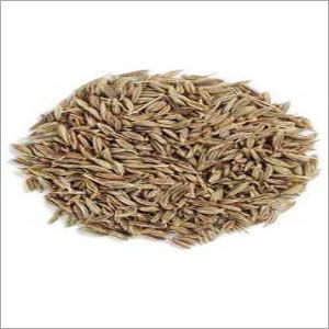 Cumin Seeds