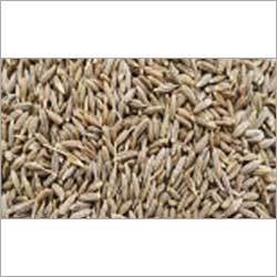 Cumin Seeds