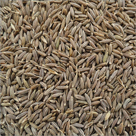 Cumin Seeds