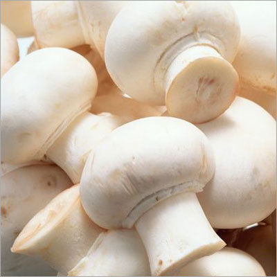 Fresh White Mushrooms