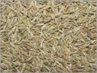 Natural Cumin Seeds