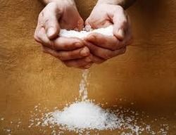 Salt - Essential Nutrient for Health and Industry | Unique Range of Quality Salts