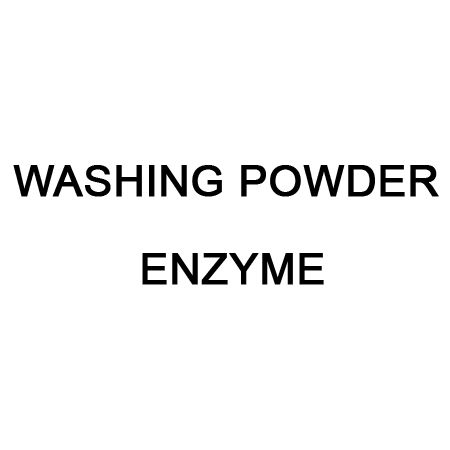 Washing Powder Enzyme