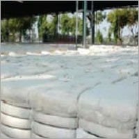 Bci Cotton