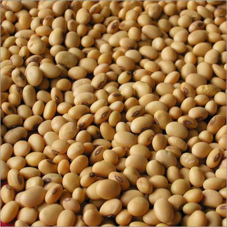 Fresh Soya Bean