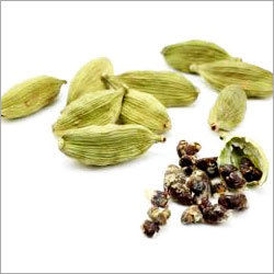 Indian Cardamom