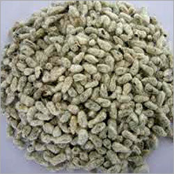 Smooth Running Cotton Seed