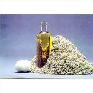 Cotton seed Oil
