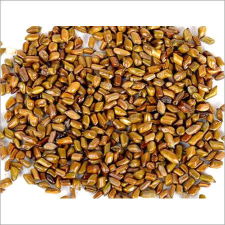 Cassia Tora Seeds