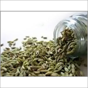 Fennel Seeds