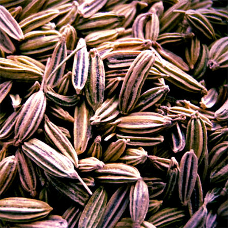 Fennel Seeds