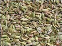 Green Fennel Seeds - Natural Fertilizer Cultivated | Outstanding Freshness, Premium Quality, Rich Taste, Strong Aroma