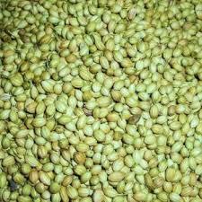 Coriander Seeds