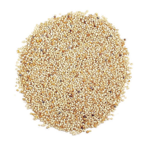 As Per Requirement Poppy Seeds