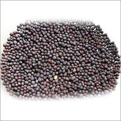 Whole Mustard Seeds