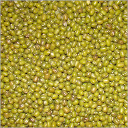 Green Legumes