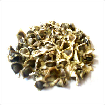 Moringa Seeds