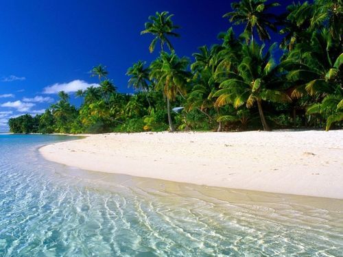 Andaman Holiday Package From Chennai By INDIA ISLAND TOURISM