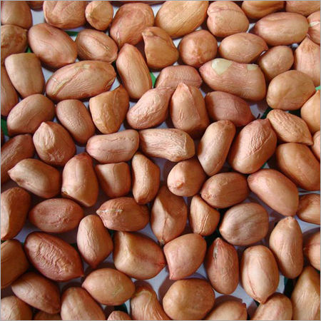 Bold Type Groundnut Kernels General Medicines