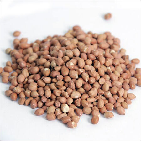 Indian Groundnut Kernels