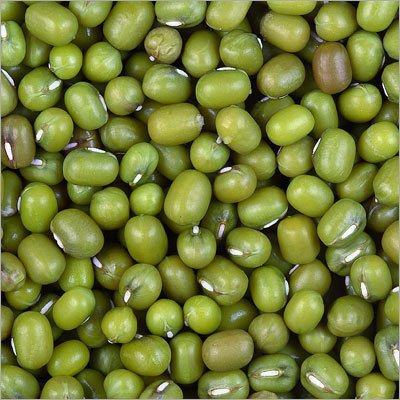 Mung Bean