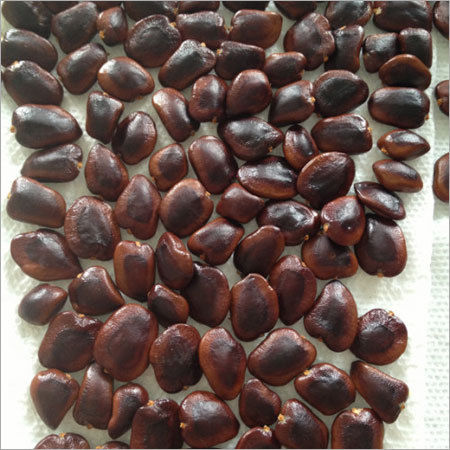 Indian Tamarind Seed